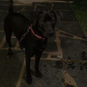 Meet your Posher, Cynthia